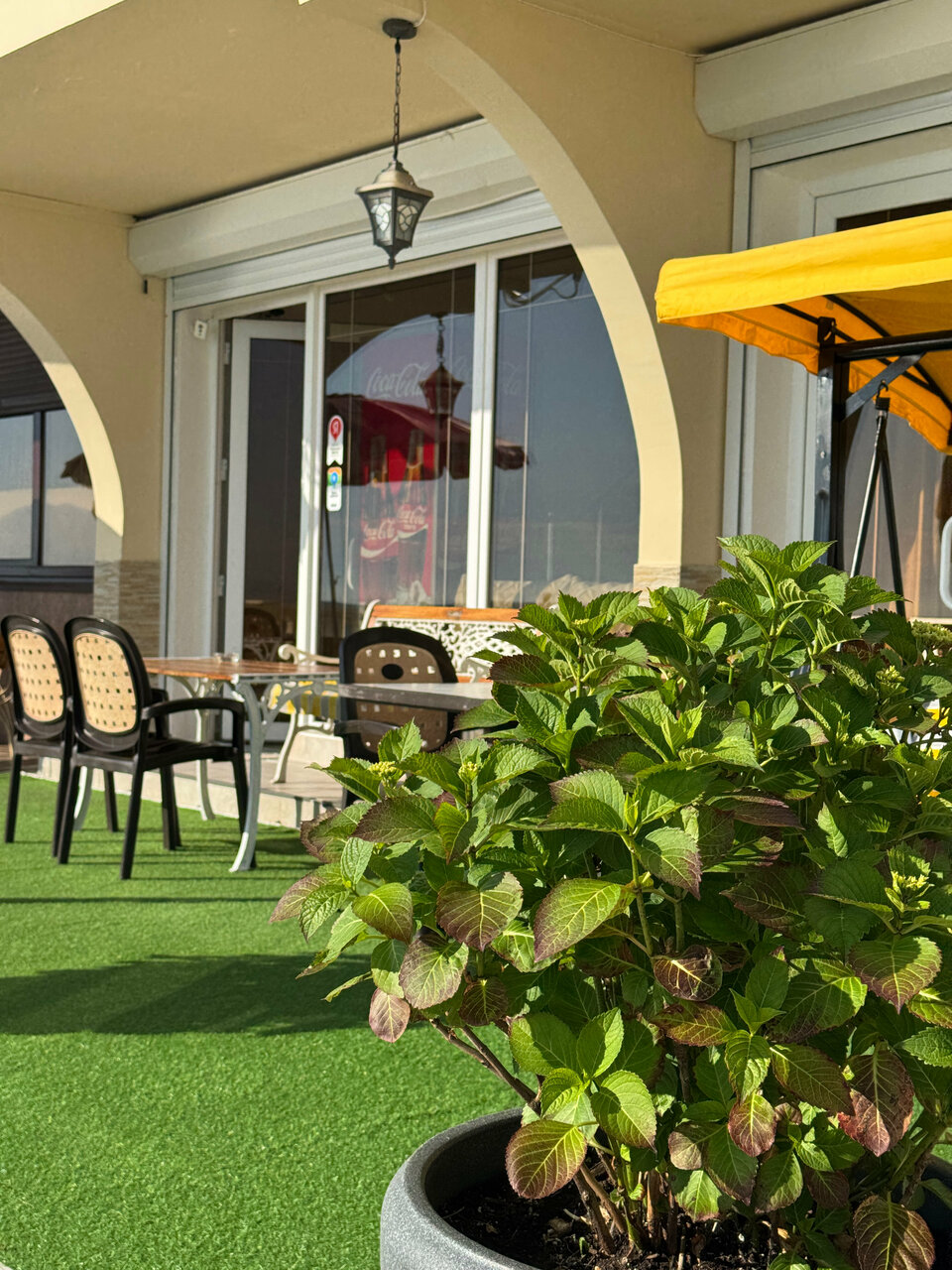 Гостиница Пионер Лоо-111