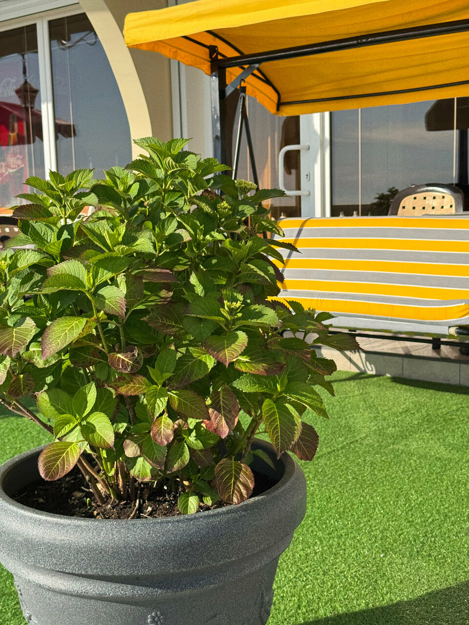 Гостиница Пионер Лоо-99