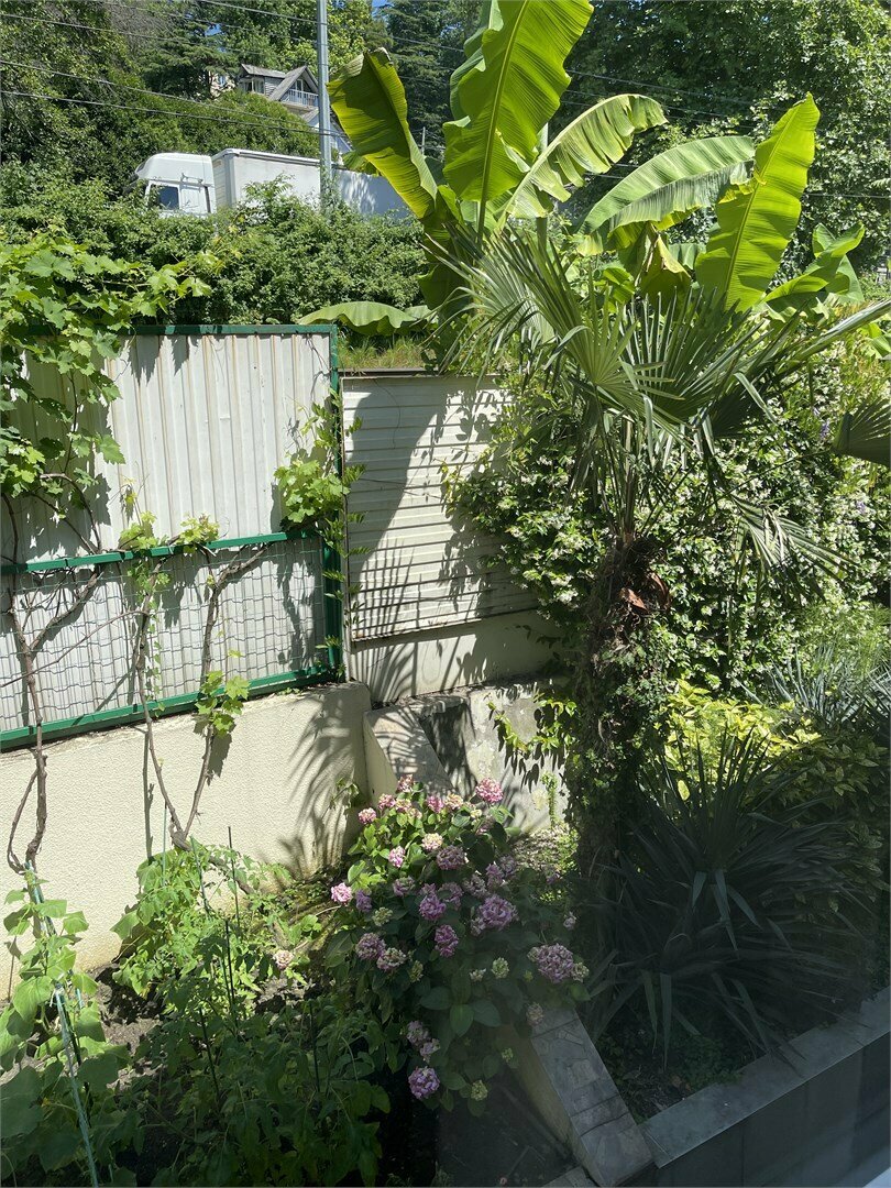 Гостиница Пионер Лоо