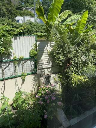 Гостиница Пионер Лоо Улучшенный трехместный номер-10